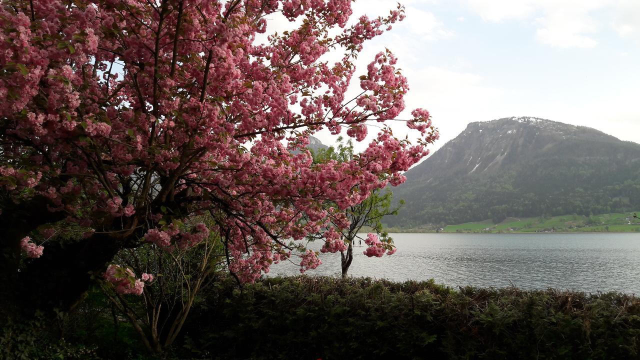 Aberseeblick Pension Ellmauer Sankt Wolfgang im Salzkammergut Bagian luar foto